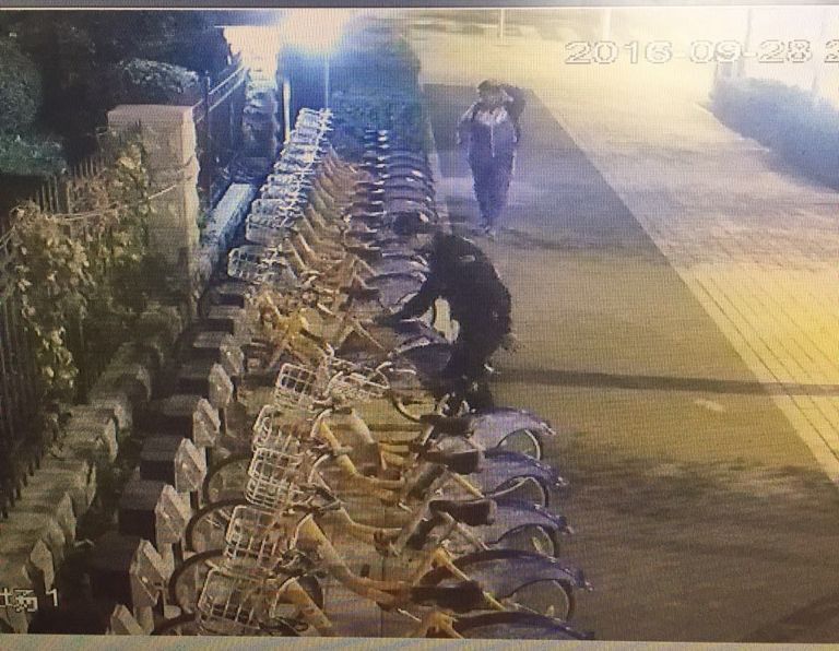 老子有钱lzyq88(中国)有限公司官网