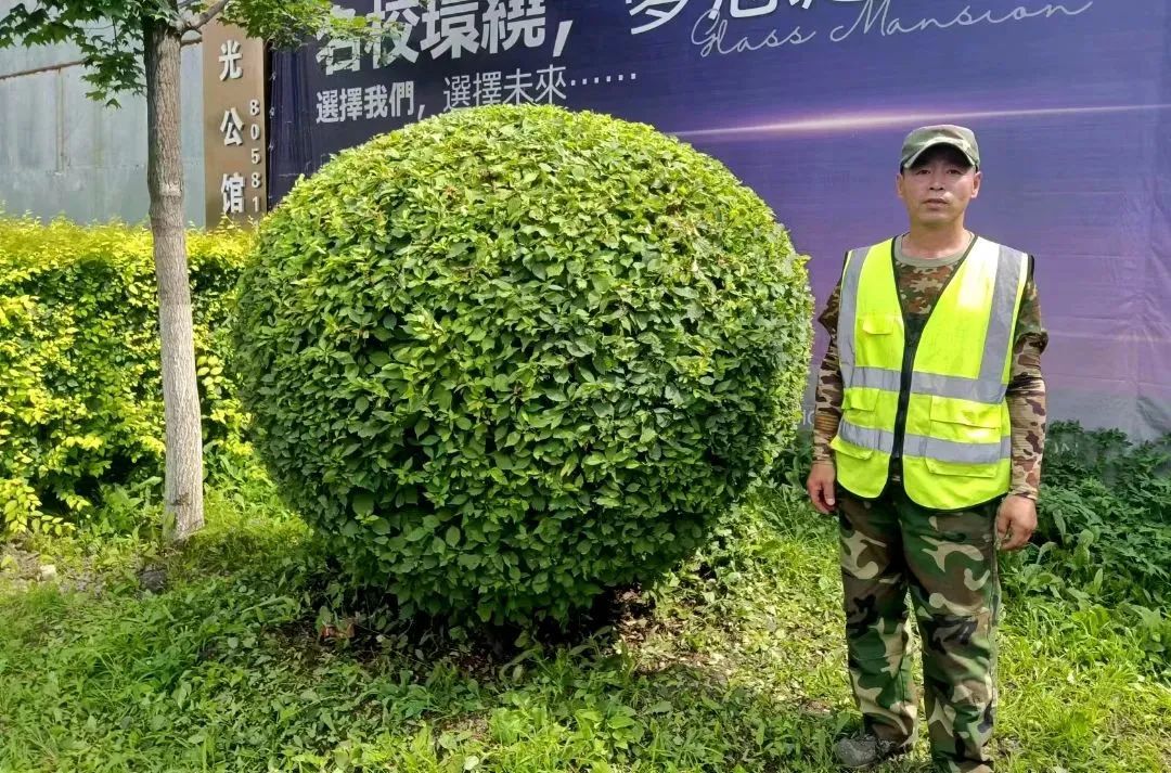 老子有钱lzyq88(中国)有限公司官网